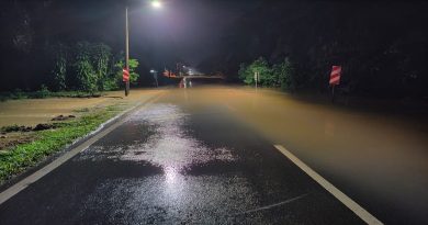 大雨袭榕吉 油棕树倒下阻交通