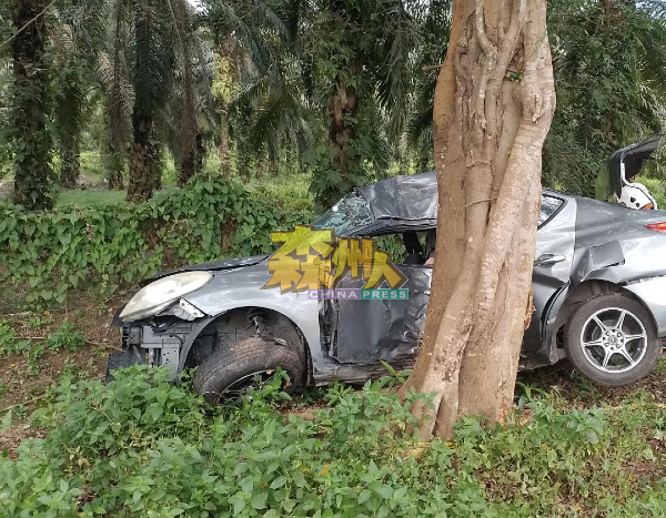 肇祸轿车撞向大树，车身毁坏不堪。