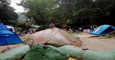 庇劳数生态公园 登山地点 森林局下令暂时关闭