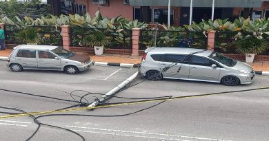 罗厘拉倒电柱 庇大街交通一度陷混