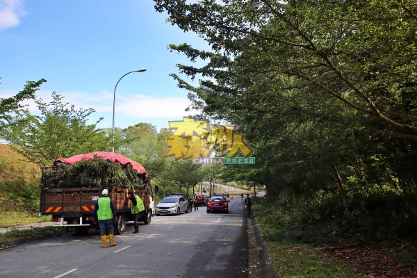 芙蓉新城高苑5个花园住宅区，获得马来西亚道路安全档案系统（MARRIS）拨款46万6750令吉修剪及砍伐树木。