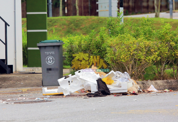 恩斯德镇新商区后巷的垃圾桶疑被流浪狗翻找食物，弄得脏乱。