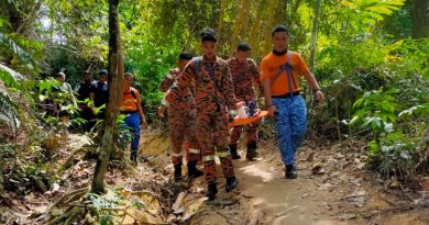 女子登山弄伤脚 消拯员救下山