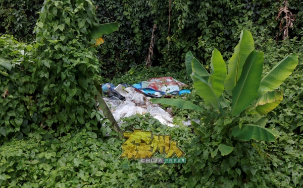 丛林处还成为非法垃圾场，出现堆积的垃圾。