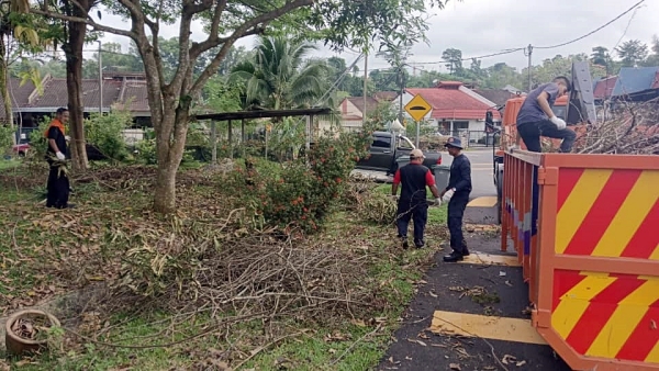 市政局在庄雪和及茜拉要求下，派人清理耀龙园儿童游乐场被砍断的杜鹃花残枝。