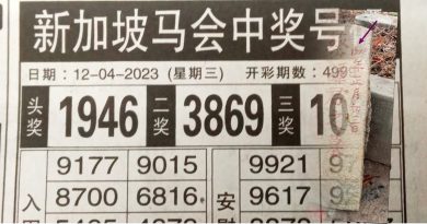 马口义山神秘古碑年份 新加坡马会开出头奖