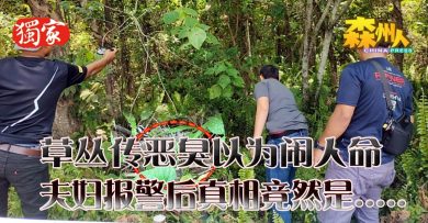 草丛传恶臭以为闹人命 夫妇报警后真相竟然是……