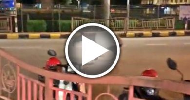 疑丛林走到街道迷路 马来貘小镇逛街