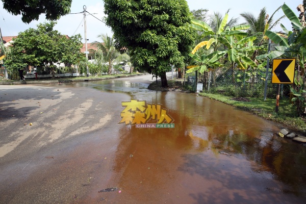 沟渠溢出的污水从Harmonium Indah花园流向武吉甲巴央花园。