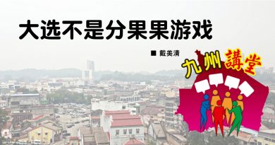 戴美清：大选不是分果果游戏