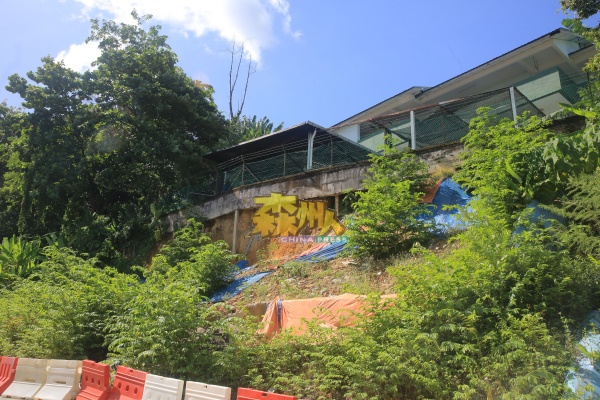 秀雅花园约80尺高斜坡围墙发生严重土崩至今已超过1年，尚未抢修。