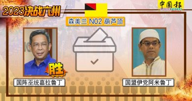 ◤6州选举◢嘉拉鲁丁夺葫芦顶州席