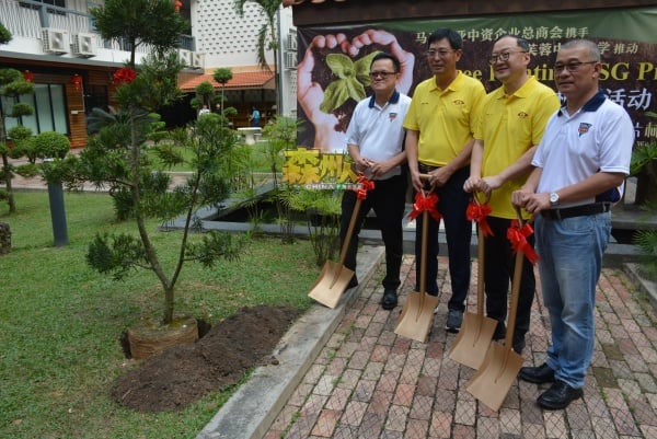 李兆祥（左起）、张敏、周家义和吕海庭，一同将罗汉松树苗植入校园范围。