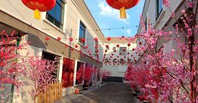 淡边运达花园梅花巷 成新年打卡好去处