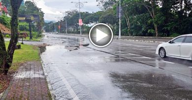 杂草及垃圾满满 双溪乌绒路沟渠大阻塞