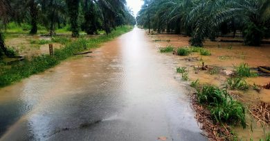 长命雨下不停 榕吉多条路淹水