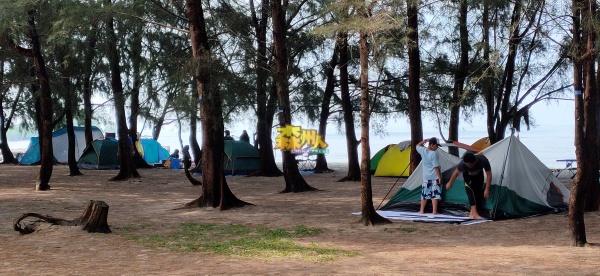喜欢露营的民众可选择到波德申市议会指定的区域搭建帐篷露营。