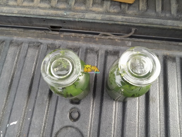森州环境局官员收集2个有毒废料的液体样本送往国家化验局。
