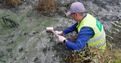毒废料弃油棕园 环境局抽样本送检验