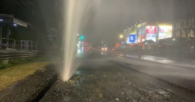 承包商挖破水管 邓普勒路多个花园断水