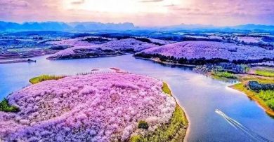森州人头条 ｜新年假碰上学校假 出国旅游团热爆
