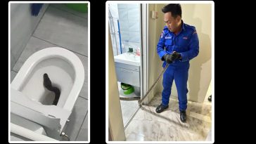 厕所马桶竟藏了8尺蟒蛇 屋主惊呆了！