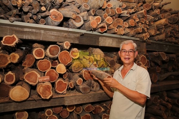 胡国强喜欢檀香事业，也喜爱收藏各种类有香气和无香气的木桐。