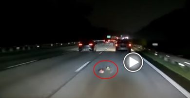 公然把快餐垃圾丢出车外 后方车主警告：“请把尸体捡掉”！