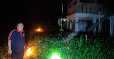 虎头蜂阁楼筑巢 工人遭蛰5针