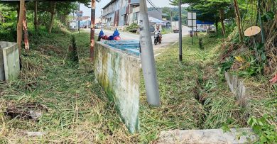 承包商除草“留手尾” 碎草渣堵沟  恐酿水灾