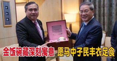 代表大马送李强金饭碗  陆兆福：寓意马中子民丰衣足食