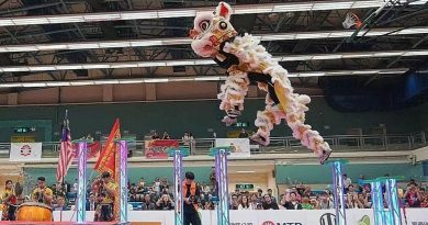 一带一路醒狮邀请赛 桂青龙狮团摘冠荣归
