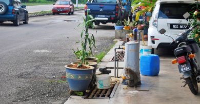 顽猴宁宜大街捣乱 偷水果摇窗 商家喊烦
