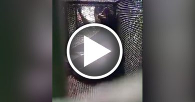 野生动物局设陷阱 攻击家禽黑豹落网