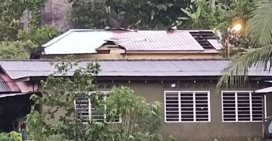 暴风雨袭村庄 树倒屋顶开天窗