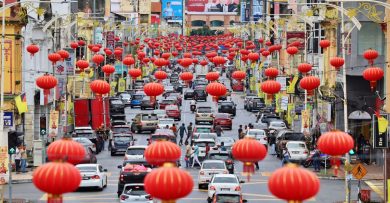 游子回乡   新年采购  芙蓉车龙人潮来了！