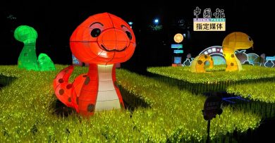 想体验喜乐又甜蜜的元宵 IJM Land 215与您有约