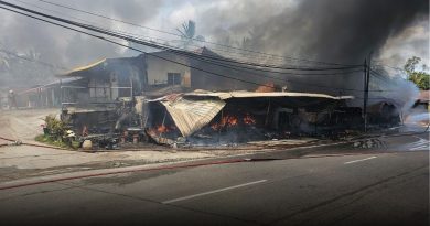 淡边巴西勿刹突发大火  2屋1摊毁于一炬