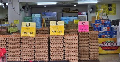 鸡蛋大降价 便宜也难卖 市场没掀抢购潮