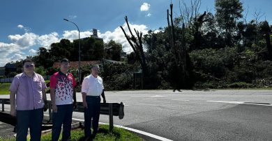 情况不同 两地皆获砍树拨款 议员指市局急缓不分
