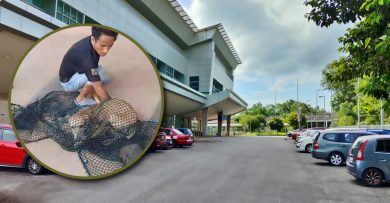 林茂火车站咬人流浪狗 圣泉福圣宫投报捕捉