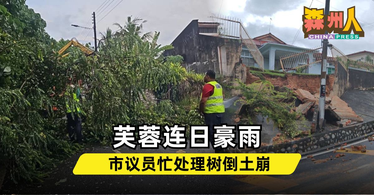 森州人头条｜芙蓉连日豪雨 市议员忙处理树倒土崩