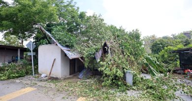暴风雨袭2花园 逾80户遭“开天窗”