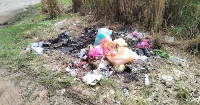 垃圾虫又来乱 义山路旁再沦垃圾场