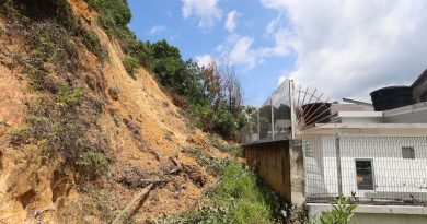 山泥倾泻大树倒塌 近在屋后居民喊怕