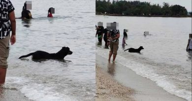 黑狗波德申海滨玩水 引发穆斯林游客不安