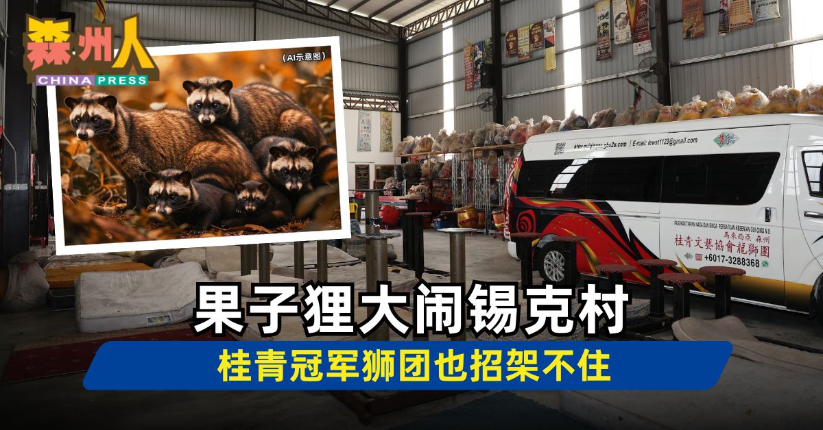 森州人头条｜果子狸大闹锡克村 桂青冠军狮团也招架不住