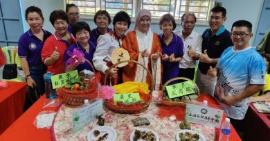 汇集18华团献力 庇劳“粽香茶韵、文化传承 ”  800人赴会