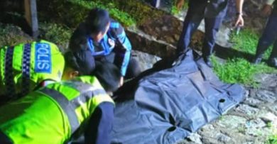深夜载友车失控酿祸 电工遭抛车外死   友人伤
