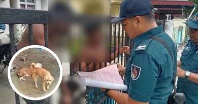 屡劝不听任狗扰邻 市厅开罚单惩处狗主